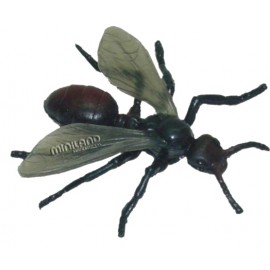 Set 12 Figurine Insecte Miniland | Educaționale - imagine 5