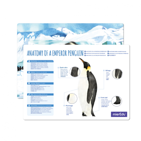 Puzzle 3D Pinguin Imperial Deluxe | Mieredu - imagine 3