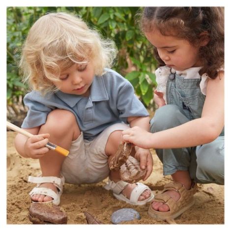 Fosile Magnetice Guidecraft - Joc STEM Preistoric - imagine 2
