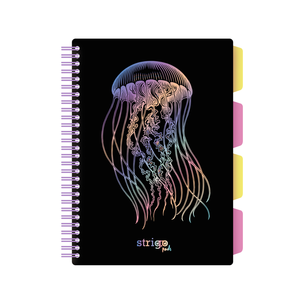 Caiet Spirala Strigo Meduza B5 Matematica