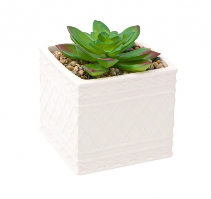Planta Artificială în Ghiveci cu Pietricele OEM