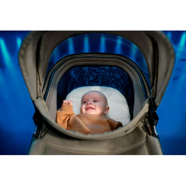 Carucior 2in1 Maxi-Cosi Fame Graphite - imagine 11