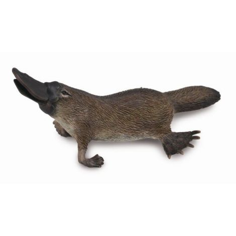 Figurina Platypus M Collecta - Detaliată și Educativă
