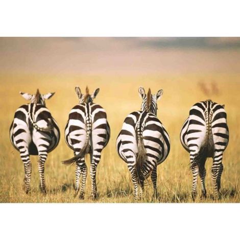 Puzzle Zebre Savana 300P Ravensburger