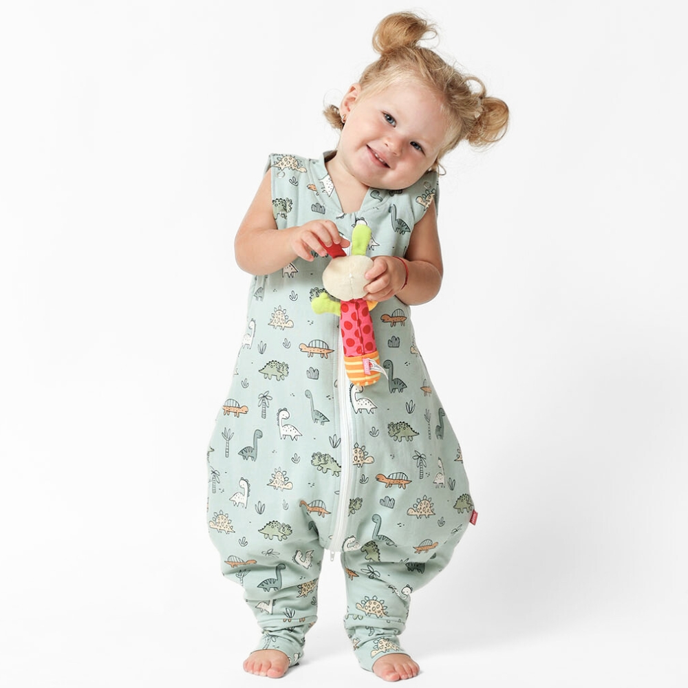 Sac dormit Dino Adventure Kids Decor