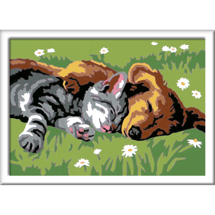 Pictură Pe Numere Catelus & Pisicuta - Ravensburger
