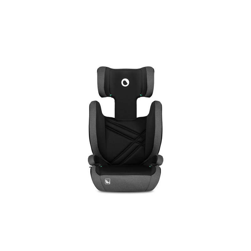 Scaun Auto Lionelo Hugo i-Size 4-12 Ani Gri - imagine 4