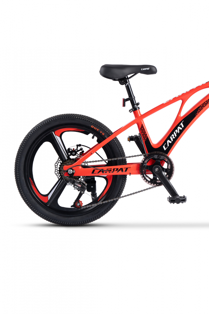 Bicicleta MTB Carpat 20" pentru copii - imagine 2