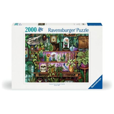 Puzzle 2000 piese Ravensburger - Lumea Vrajitoarelor