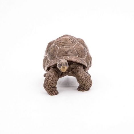 Papo Testoasa Galapagos - Figurina Detaliata - imagine 6