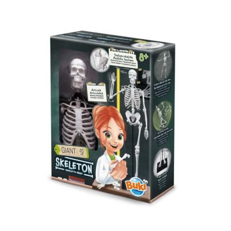 Schelet Gigant 45cm Buki - Jucare Educativă Anatomie