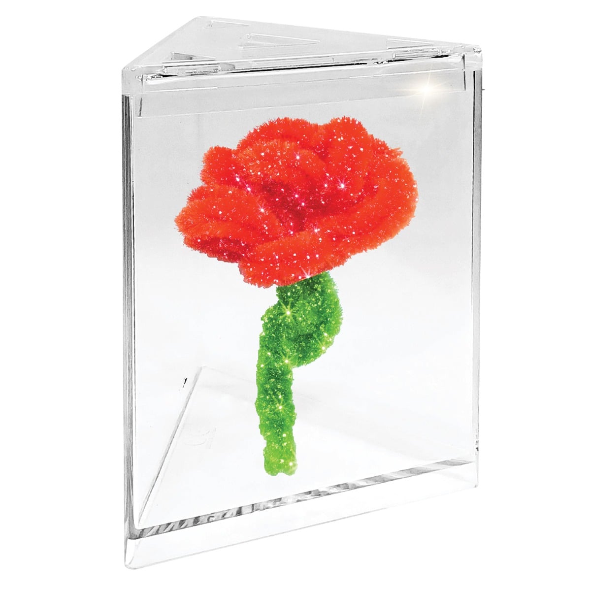 Set Crystal Rose Eastcolight | Creează Flori de Cristal