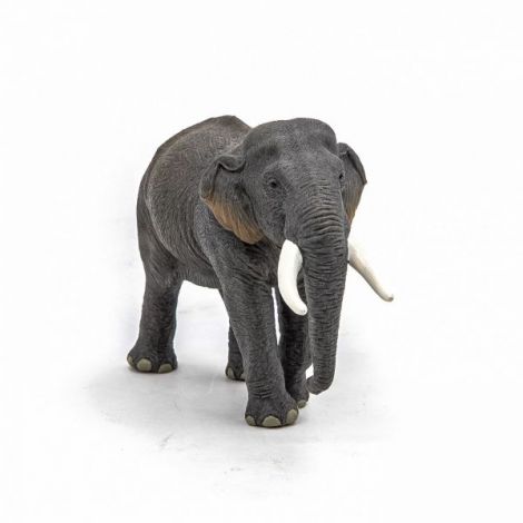 Papo Elefant Asiatic - Figurina Educativă 3+ - imagine 4