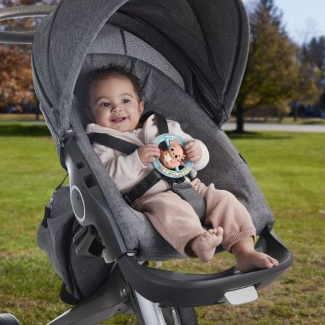 Zornaitoare Fisher-Price Salamandra Senzoriala - imagine 3