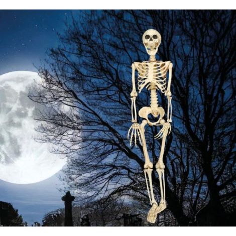 Decor Schelet Guirca 90cm - Halloween - imagine 2