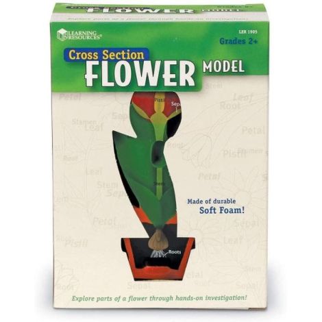 Model Sectiune Floare Learning Resources Educativ - imagine 4