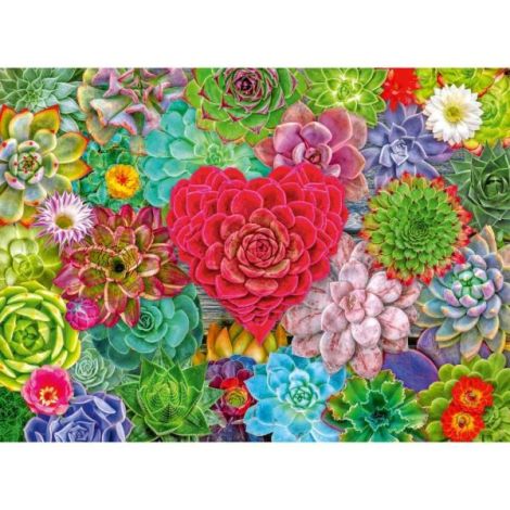 Puzzle Succulente 500p Ravensburger - imagine 3