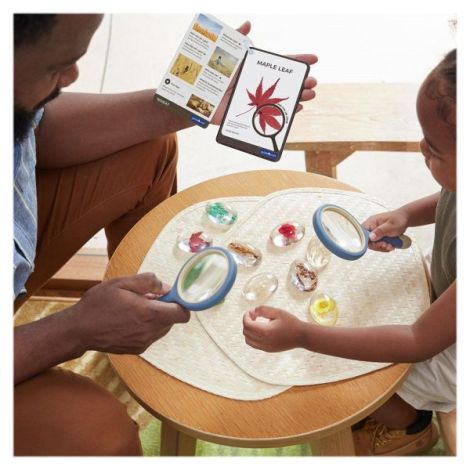Pietre Specimen Plante Guidecraft - Set Educativ - imagine 2