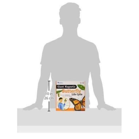 Set Magnetic Ciclul Fluturelui - Learning - imagine 4