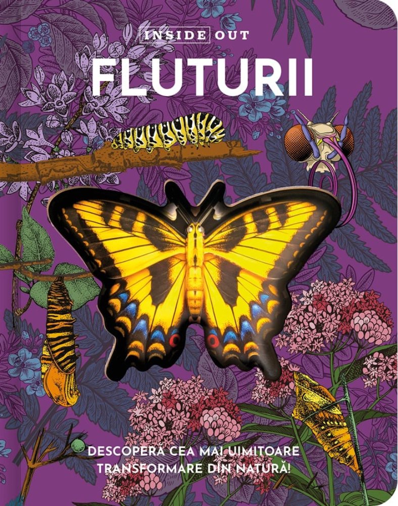 Fluturii Model 3D - Carte Interactivă Kreativ