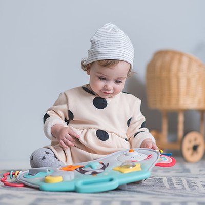 Centru Activitati Muzical Pinguinul Taf Toys - imagine 4