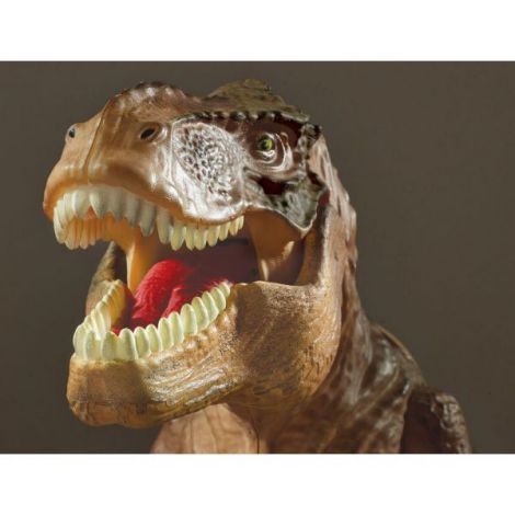 Proiector 2 in 1 Brainstorm T-Rex cu Sunete - imagine 4