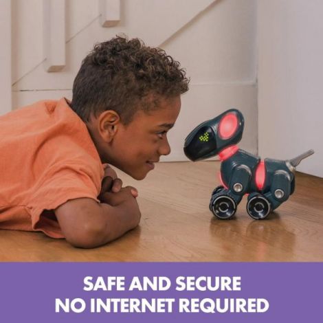Pyxel Robot Programator Educational Insights - imagine 3