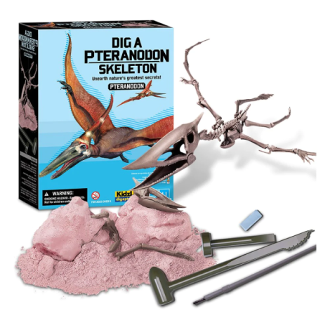 Set Sapa Dinozauri Pteranodon 4M - Descopera Joc - imagine 2