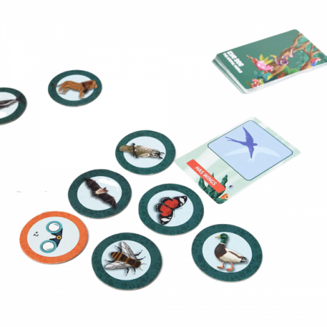 Joc Logica Animale Chalk Chuckles - IQ Game - imagine 5