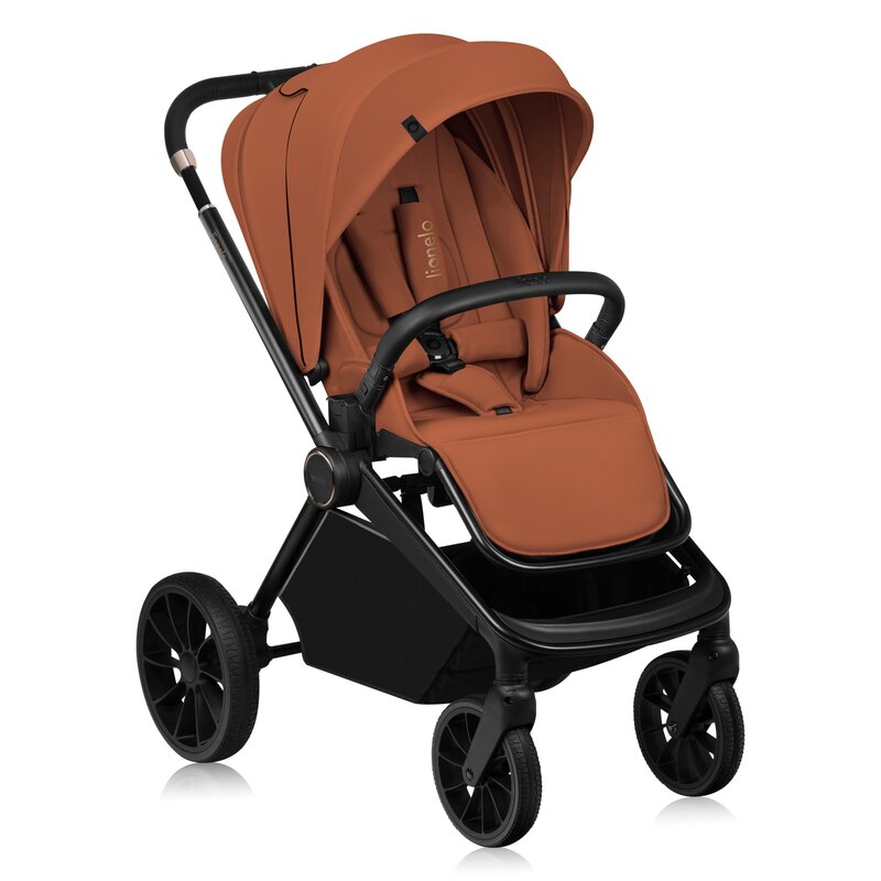 Carucior Lionelo Mika Plus 2 in 1 Premium