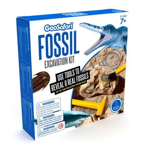 Geosafari Kit Excavare Fosile Educational Insights