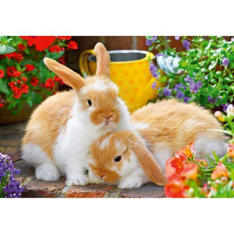 Puzzle Porcusor si Iepuras Ravensburger 2x12 - imagine 2