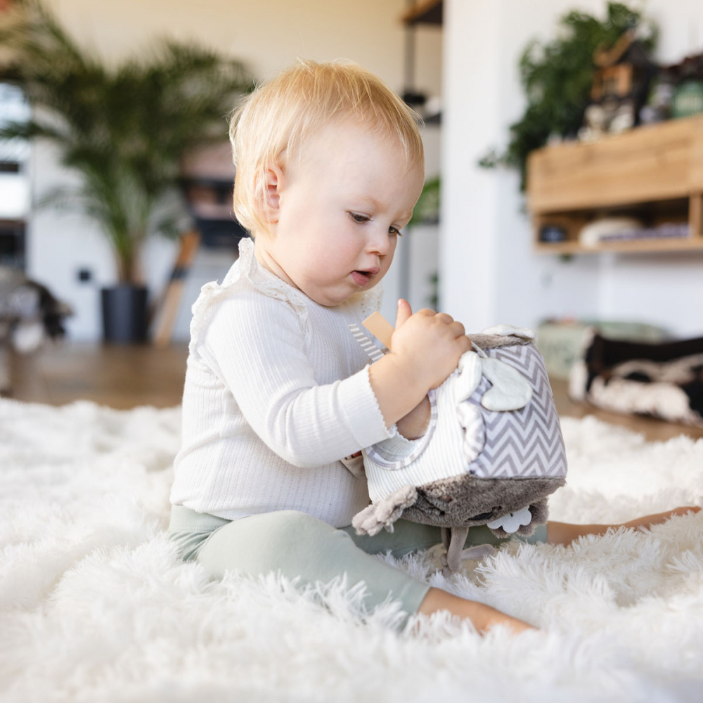 Cub Activitati Babyono Koala Coco | Dezvoltare - imagine 4