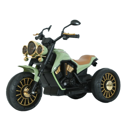 Motocicleta Electrica 3 Roti Hollicy Jocker 70W