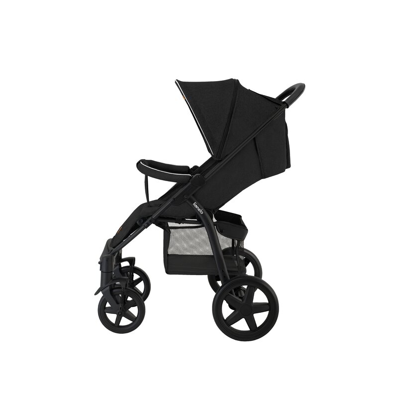 Carucior Lionelo Annet Plus, Sport, 0-22kg, Accesorii - imagine 7