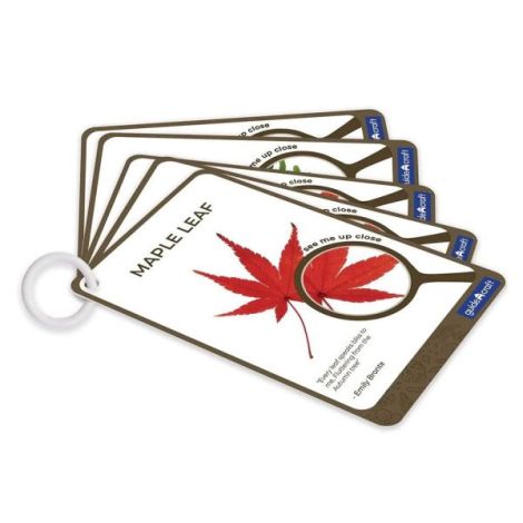 Pietre Specimen Plante Guidecraft - Set Educativ - imagine 6