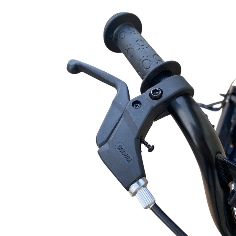 Procart Bicicleta 14" Copii 3-5 Ani - imagine 7