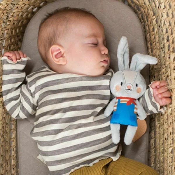 Zornaitoare Taf Toys Iepurasul Rylee, Carucior