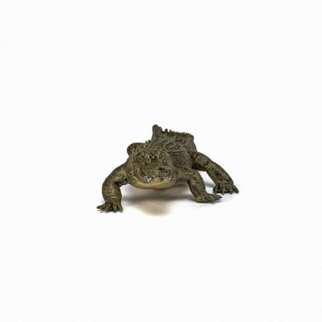 Papo Figurină Aligator Realistă Copii +3ani - imagine 4