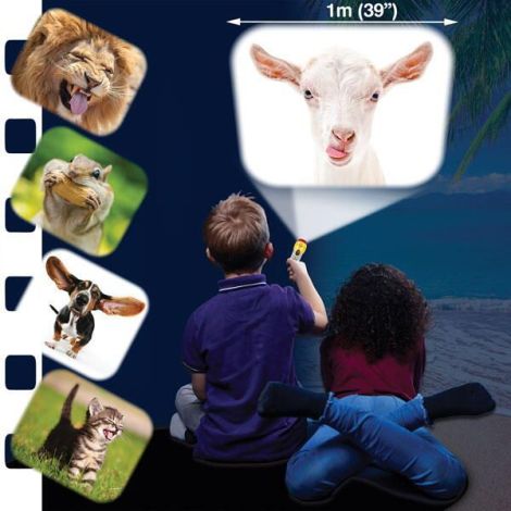 Proiector Lanterna Animalute Brainstorm Copii 3+ - imagine 9