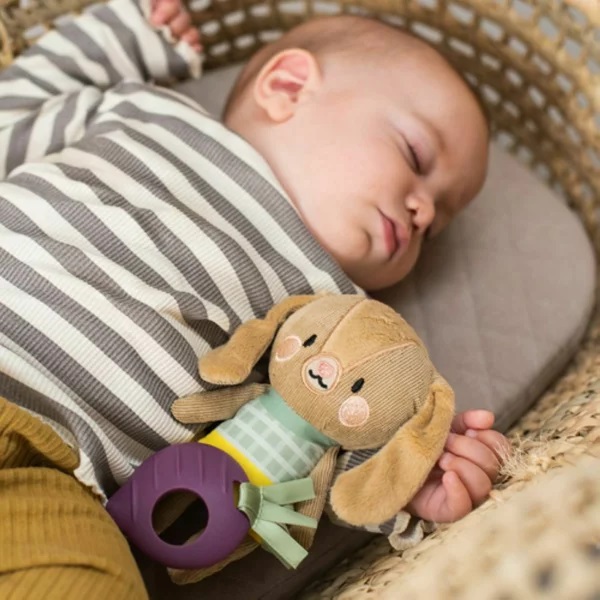 Zornăitoare Taf Toys Iepurasul Jenny