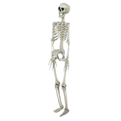 Decor Schelet Guirca 90cm - Halloween - imagine 3