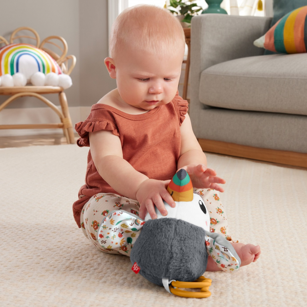 Jucarie Plus Fisher Price Tucan Aventura Senzoriala