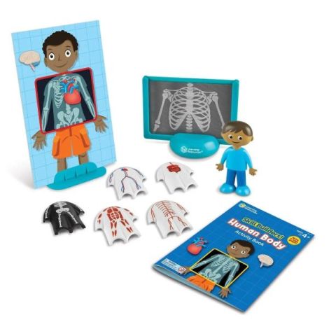 Set Anatomie Corpul Uman - Learning Resources - imagine 2