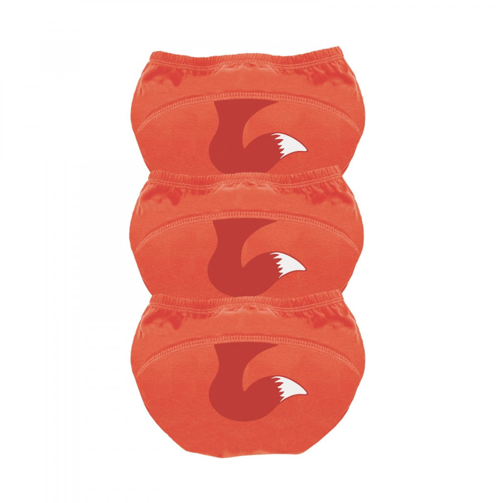 My Little Training Pants 3-4 ani Vulpe | My Carry Potty