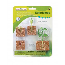 Ciclul Vieții Fasole Safari Ltd - Educațional