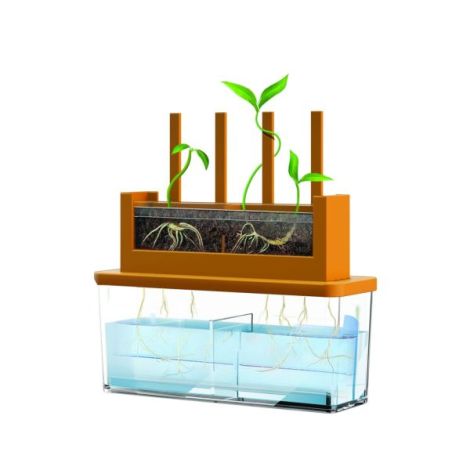 4M Kit Labirint Plantă - Știință Verde pentru Copii - imagine 4