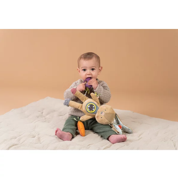 Jucarie Activitate Taf Toys Jenny | Dentitie - imagine 6