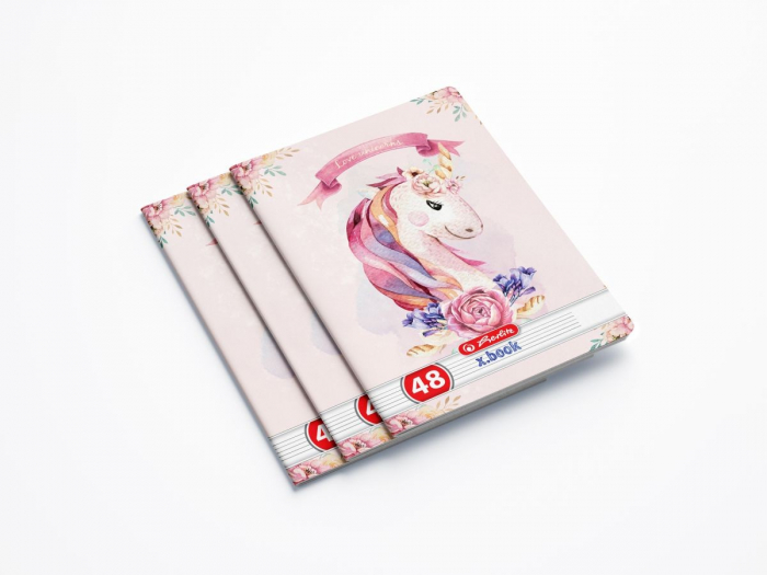 Caiet Dictando Herlitz Enjoy, A5, 48 file