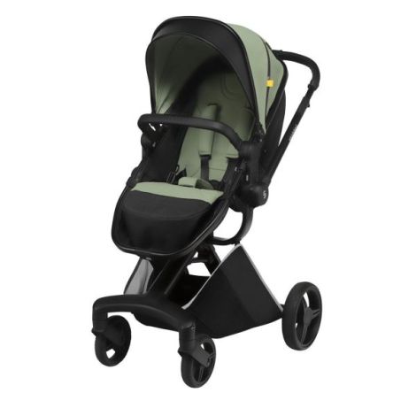 Carucior 2 in 1 Skiddou Nasjo Wild Climber